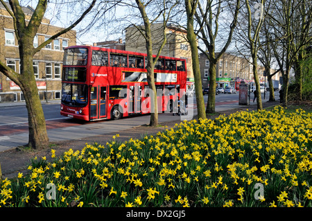 Le bus rouge de jonquilles Narcisse en premier plan, Burdett Road, Mile End Park, district londonien de Tower Hamlets, Angleterre, Grande-Bretagne, Royaume-Uni Banque D'Images