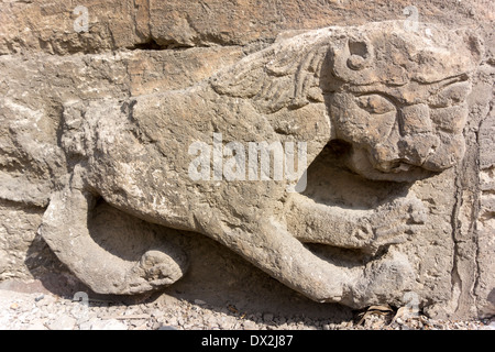 Lion sculpté du sultan Baybars sur la Tour des Lions, Citadelle, le Caire, Egypte Banque D'Images