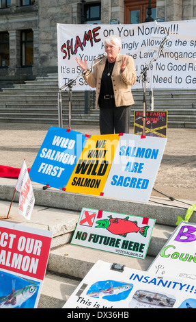 Senior citizen activist Betty Krawczyk, parle à protester contre le saumon d'pratiques, Assemblée législative de la Colombie-Britannique comme suit. Banque D'Images