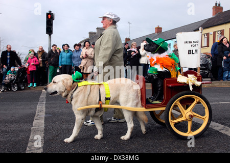 Chien-guide dans la parade de la St Patrick en Irlande monaghan carrickmacross co. Banque D'Images