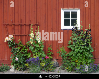 Trosa, södermanlands Län, Suède, södermanland Banque D'Images