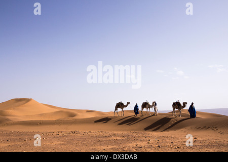 Trois chameliers walking in Tifnou dunes, Zagora, Maroc Banque D'Images