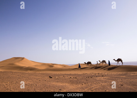 Trois chameliers walking in Tifnou dunes, Zagora, Maroc Banque D'Images