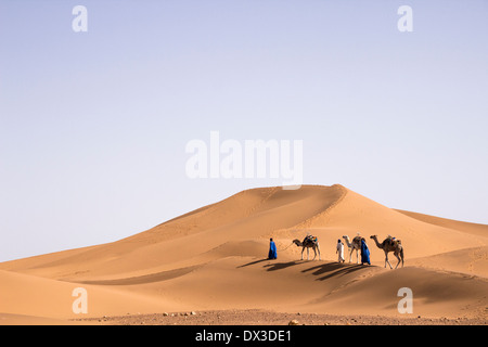 Trois chameliers walking in Tifnou dunes, Zagora, Maroc Banque D'Images