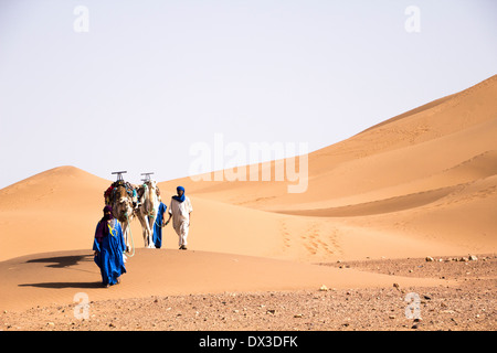 Deux chameliers walking in Tifnou dunes, Zagora, Maroc Banque D'Images