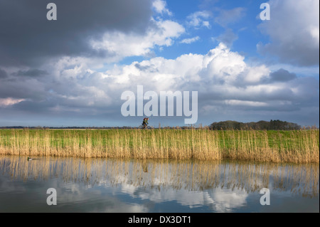 Les cycles d'un homme le long de la berge de la rivière de la coque sur un bel après-midi d'hiver, près de Beverley, Yorkshire, UK. Banque D'Images