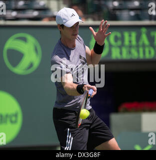 Key Biscayne, Floride, USA. 17 mars, 2014. ANDY MURRAY de Grande-bretagne pratiques au centre de tennis de Crandon Park, Key Biscayne, Miami, Floride, au Sony Open de Tennis. Lundi 17 mars 2014. Tennis - ATP - Open Sony-WTA - Miami - 2014 - USA - 17 mars 2014. Crédit : Mike Frey/Alamy Live News Banque D'Images