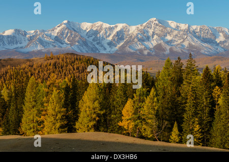 La Plage Nord Chuya au lever du soleil. Kurai steppe. Altaï. La Sibérie. La Russie Banque D'Images