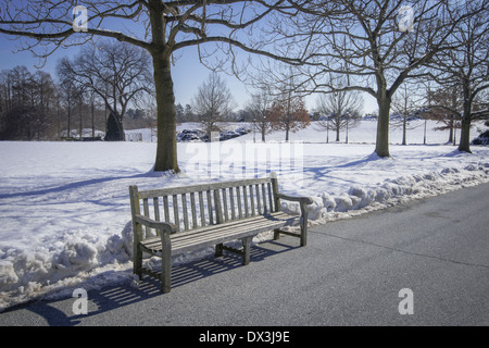 Banc de parc vide, froide journée d'hiver Banque D'Images