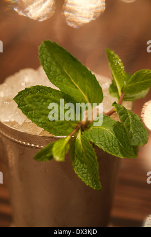 En menthe mint julep en coupe d'argent, Close up, high angle view Banque D'Images