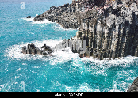 Colonnes basaltiques de la côte en commun dans l'île de Jéju JungMun Banque D'Images