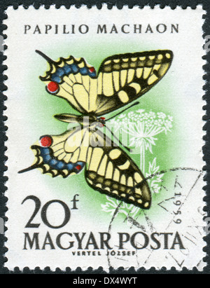 Hongrie - circa 1959 : timbre-poste imprimé en Hongrie, montré l'Ancien Monde papillon Papilio machaon), vers 1959 Banque D'Images