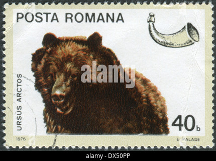 Roumanie - circa 1976 : timbre-poste imprimé en Roumanie, montre un ours brun (Ursus arctos), vers 1976 Banque D'Images