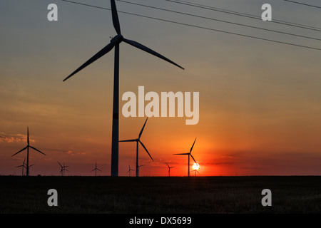 Zehdenick, Allemagne, d'éoliennes au coucher du soleil Banque D'Images