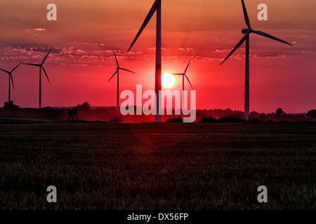 Zehdenick, Allemagne, d'éoliennes au coucher du soleil Banque D'Images