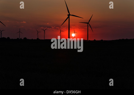 Zehdenick, Allemagne, d'éoliennes au coucher du soleil Banque D'Images