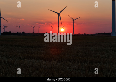 Zehdenick, Allemagne, d'éoliennes au coucher du soleil Banque D'Images