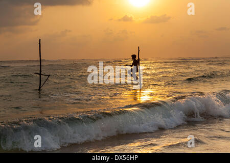 Stilt fisherman pêche en eau peu profonde, au crépuscule, à Galle, Pettigalawatta région, Province du Sud, Sri Lanka Banque D'Images