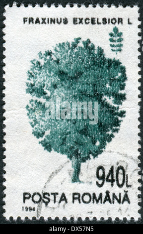 Roumanie - circa 1994 : timbre-poste imprimé en Roumanie montre un arbre frêne commun (Fraxinus excelsior), vers 1994 Banque D'Images