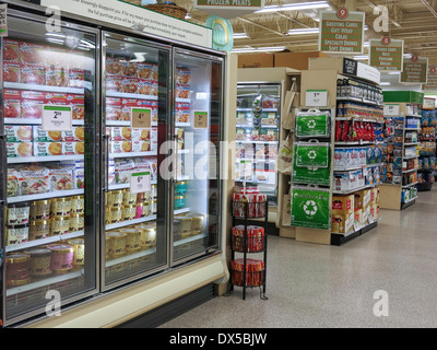 La Section des aliments congelés, Publix Super Marché à Flagler Beach, Floride Banque D'Images