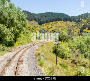 La voie de chemin de fer touristique Taieri Gorge courbes de piste à travers la forêt sur son voyage en haut de la vallée, Nouvelle-Zélande Banque D'Images