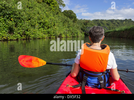 Senior woman canoë sur la rivière Hanalei, Kauai, Hawaii, USA Banque D'Images