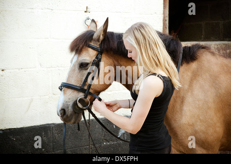 Portrait d'une jeune fille blonde et son cheval brun Banque D'Images