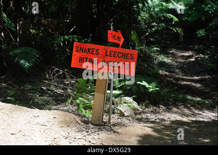 Dangers de la randonnée dans le bush en Australie. Un panneau d'avertissement en forêt Illawarra New South Wales, Australie. Les serpents et les insectes piqueurs Banque D'Images