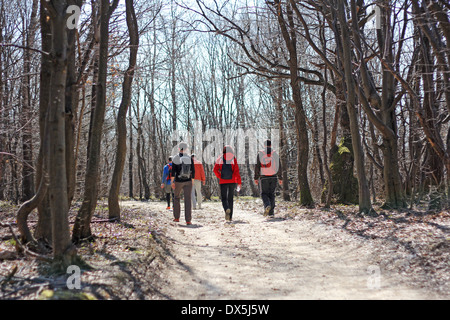 Vue arrière party people randonnées sur le chemin dans les bois Banque D'Images