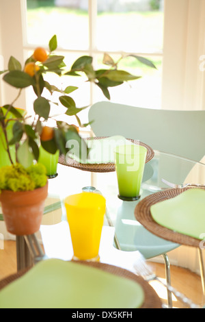 Plante en pot sur table ensoleillée avec place settings Banque D'Images