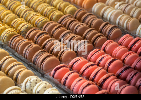 Un affichage des macarons variés (France). Concept de sucre. Présentation de macarons variés (France). Banque D'Images