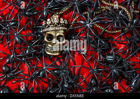 Crâne avec beaucoup d'araignée noire et asiatique sur fond rouge sanglant halloween concept.