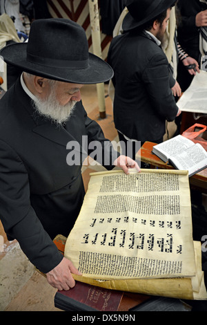 Un homme juif religieux la lecture à partir de la Méguila de Pourim dans les services au cours de Crown Heights, Brooklyn, New York Banque D'Images