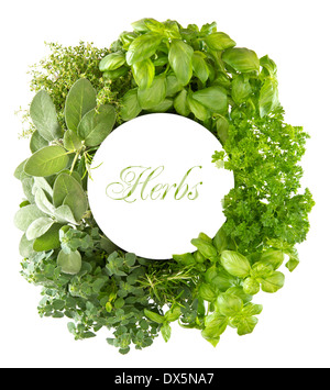 Air de méditerranée herbes et épices sur fond blanc avec de l'espace pour votre texte avec l'exemple de texte d'herbes. Banque D'Images