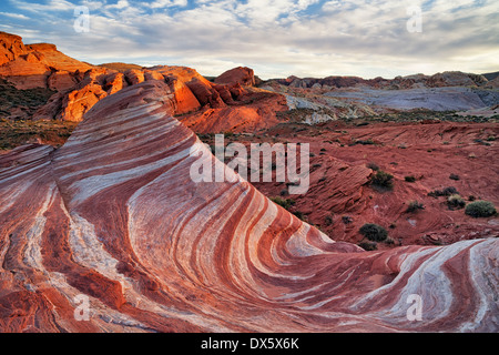 Dernière lumière sur la formation de grès connu sous le nom de Fire vague dans la Vallée de Feu du Nevada State Park. Banque D'Images