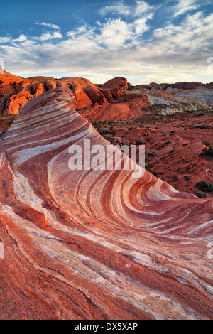 Dernière lumière sur la formation de grès connu sous le nom de Fire vague dans la Vallée de Feu du Nevada State Park. Banque D'Images