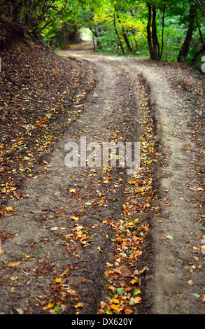 Route de terre mystérieux en liquidation la distance sous un tunnel de végétation luxuriante dans la forêt. Banque D'Images