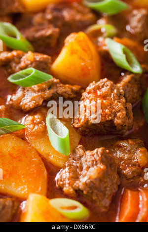 Ragoût de boeuf avec des pommes de terre et de carotte Banque D'Images