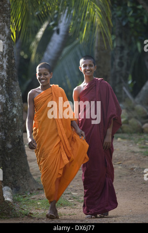 Les moines de Weherahena Temple, Matara, au Sri Lanka Banque D'Images