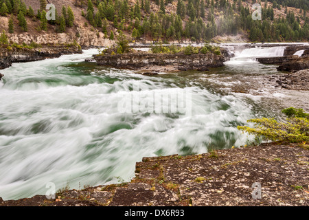 Kootenai Falls sur la rivière Kootenai, forêt nationale de Kootenai, près de Libby, Montana, USA Banque D'Images