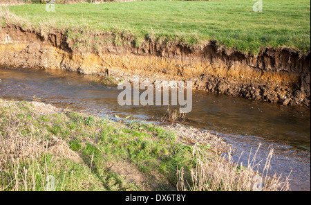Avec l'érosion et le dépôt de la rivière et la falaise, pente de River Deben, Ufford, Suffolk, Angleterre Banque D'Images