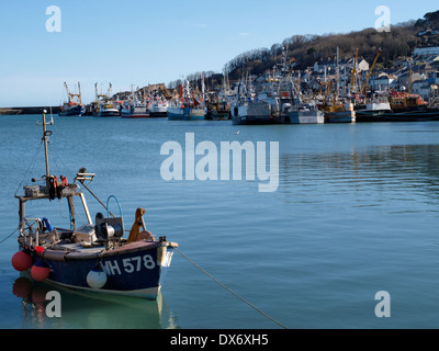 Le port de Newlyn, Penzance, Cornwall, UK Banque D'Images