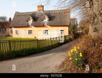 Jolie couleur ocre chaumière historique dans le village de Ufford, Suffolk, Angleterre Banque D'Images