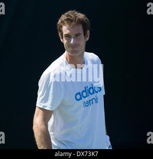 Key Biscayne, Miami, Floride, USA. 19 mars, 2014. Crandon Park Tennis Center, Key Biscane, Miami, Floride, USA. 19 mars 2014. ANDY MURRAY de Grande-bretagne pratiques au centre de tennis de Crandon Park, Key Biscane, Miami, Floride, au Sony Open de Tennis. Mercredi 19 mars 2014. Credit : AMN IMAGES/ Alamy Live News Banque D'Images