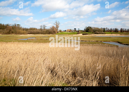 Paysage d'hiver sur l'habitat des marais de la vallée de la rivière Deben, Waldringfield, Suffolk, Angleterre Banque D'Images