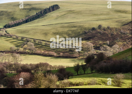 La campagne près de New Radnor, Powys, Royaume-Uni Banque D'Images