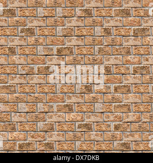 Coquina mur. Seamless Texture Mosaïque. Banque D'Images