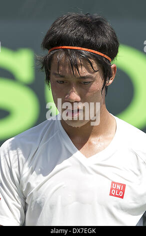 Key Biscayne, Floride, USA. Mar 19, 2014. Key Biscayne - Mars 19 : Roger Federer (SUI) et Kei Nischikori (JPN) pratiquer ensemble jours avant leurs matchs de la ronde d'ouverture 2014 Open de Tennis de Sony. Crédit : Andrew Patron/ZUMAPRESS.com/Alamy Live News Banque D'Images