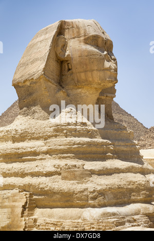 Le grand Sphinx, Giza, Le Caire, Egypte Banque D'Images