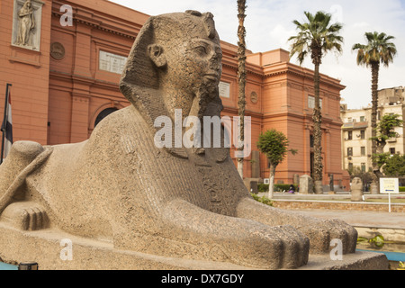 En dehors de la statue du sphinx Musée Égyptien, également connu sous le nom de Musée d'antiquités égyptiennes et Musée du Caire, Le Caire, Egypte Banque D'Images